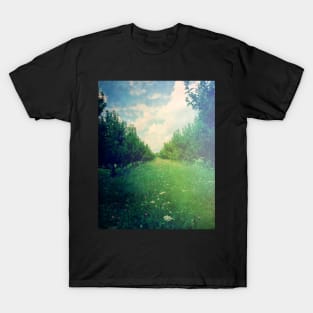 Apple Orchard in Spring T-Shirt